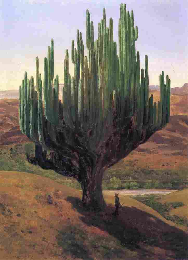 velasco cactus Art A4 Photo Print