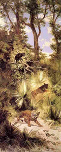 velasco flora and fauna Art A4 Photo Print