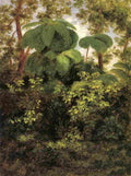 velasco pacho forest Art A4 Photo Print