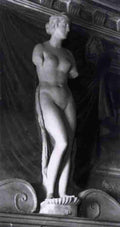 venus 21 Art A4 Photo Print