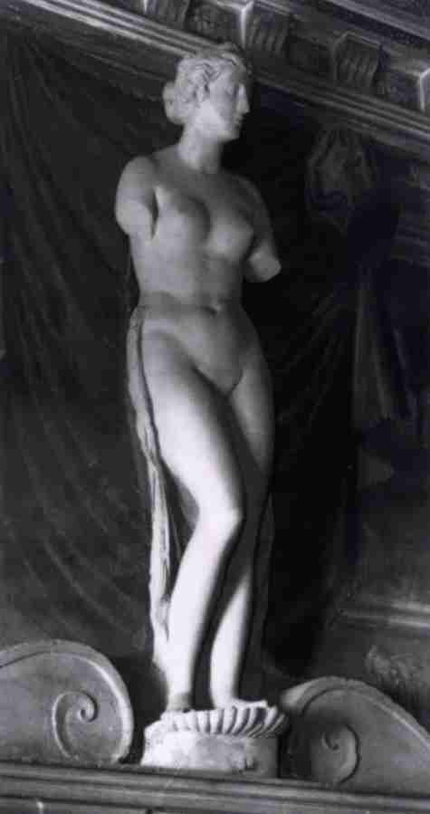 venus 21 Art A4 Photo Print