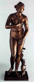venus 37 Art A4 Photo Print