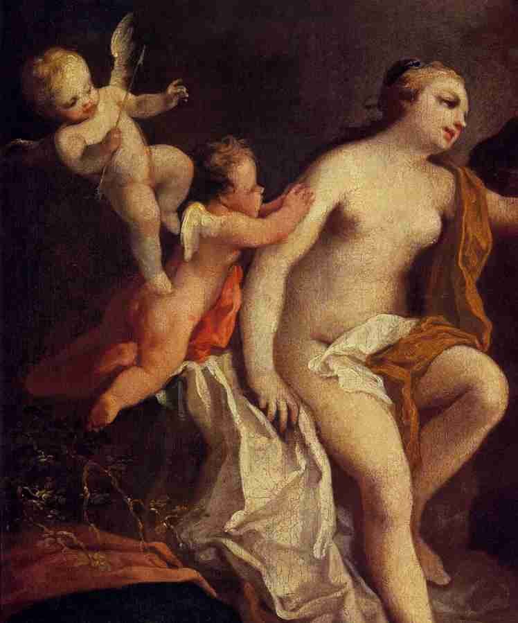 venus a2 Art A4 Photo Print