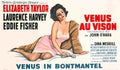 venus au vison la belge Advert A4 Photo Print
