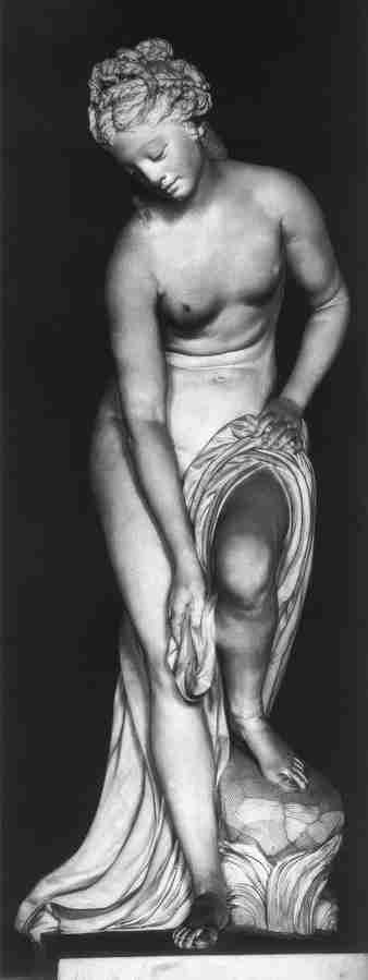 venus ba Art A4 Photo Print