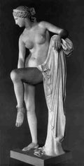 venus1 10 Art A4 Photo Print