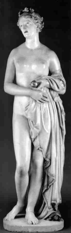 venus1 8 Art A4 Photo Print
