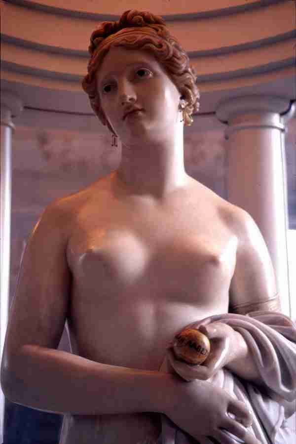 venus2 8 Art A4 Photo Print