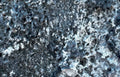vesicular basalt rock Vintage A4 Photo Print
