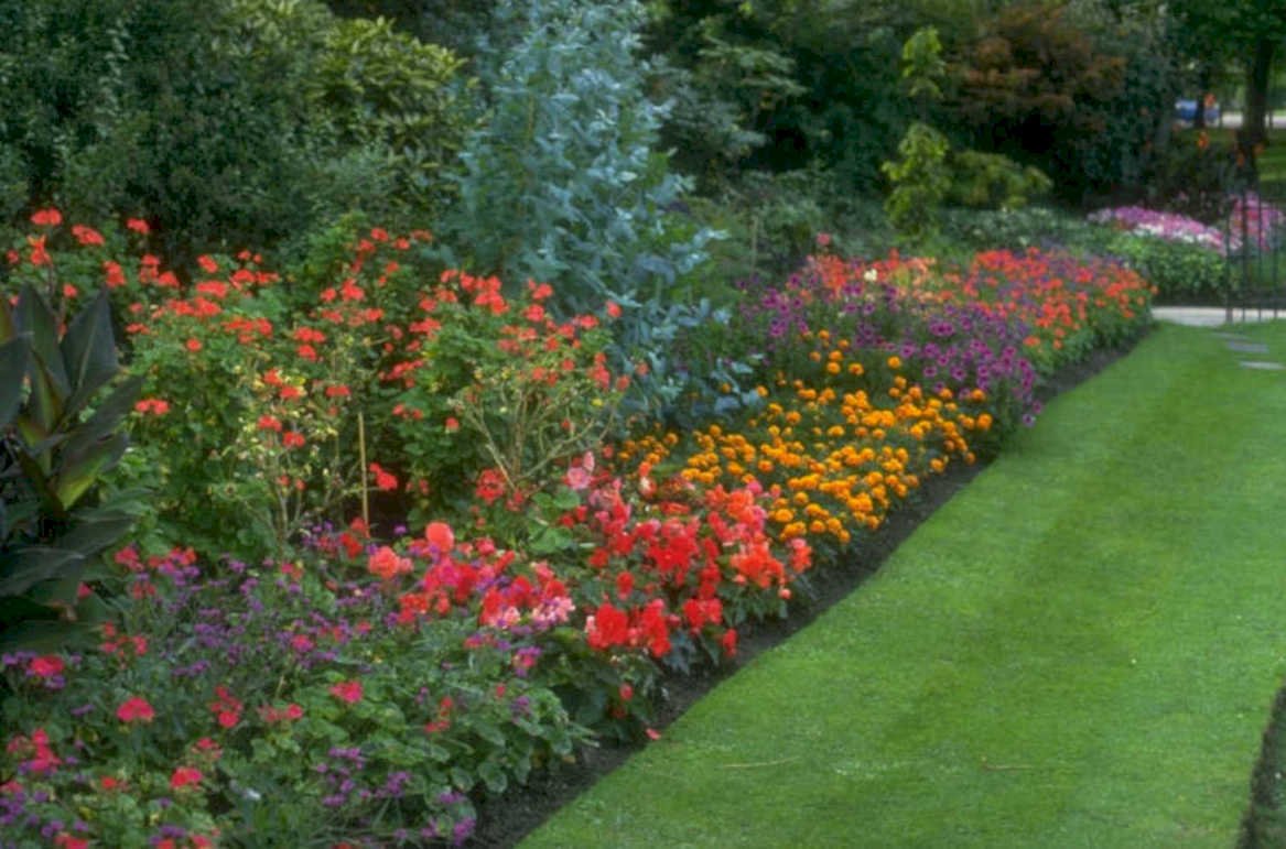 vibrant flowerbed border 1980s 1990s A4 Photo Print