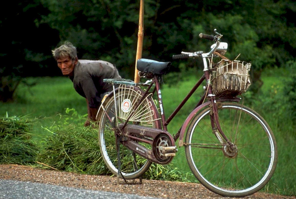 vietnam bicycle grass1980s 1990s A4 Photo Print