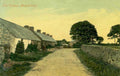 village cottages treeVintage 1880s 1900s A4 Photo Print