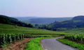 vineyard road hills1980s 1990s A4 Photo Print