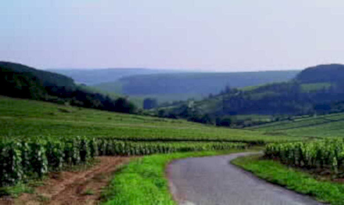 vineyard road hills1980s 1990s A4 Photo Print