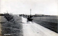 vintage buggy mustardVintage 1880s 1900s A4 Photo Print