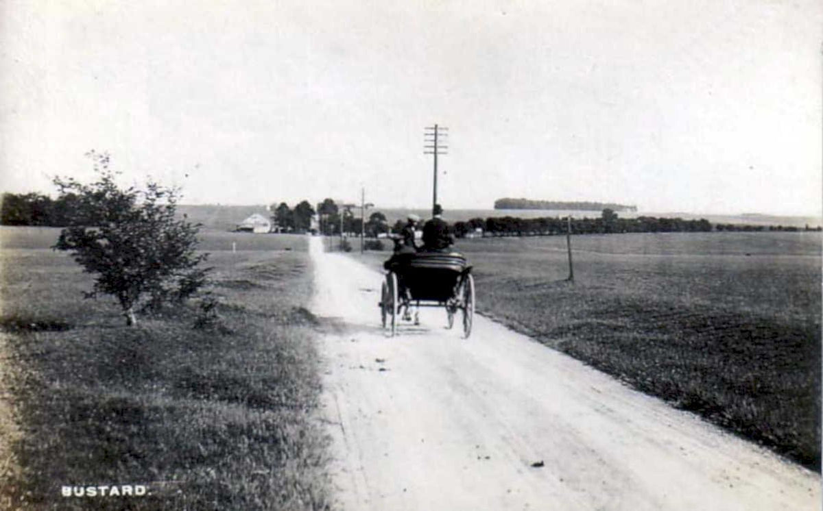 vintage buggy mustardVintage 1880s 1900s A4 Photo Print