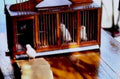 vintage canaries cage1980s 1990s A4 Photo Print