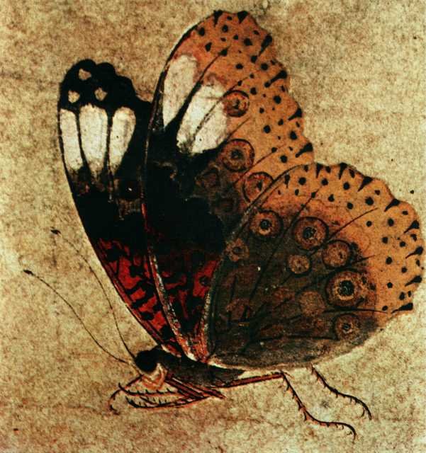vintage chinese art 043 1b0019b A4 Photo Print