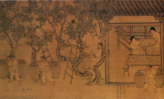 vintage chinese art 082 1c0153a A4 Photo Print