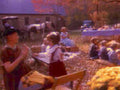 vintage classroom horse1980s 1990s A4 Photo Print