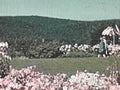 vintage crowd roses1980s 1990s A4 Photo Print