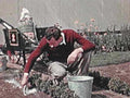 vintage gardener dico1980s 1990s A4 Photo Print