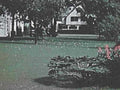 vintage house yard1980s 1990s A4 Photo Print