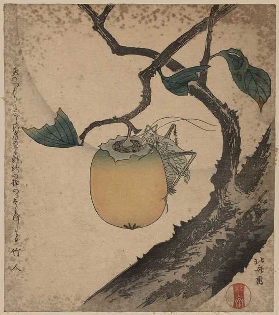 vintage japan japanese woodblock 00013v A4 Photo Print