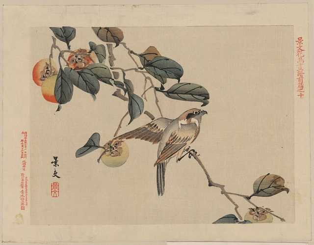 vintage japan japanese woodblock 00699v A4 Photo Print