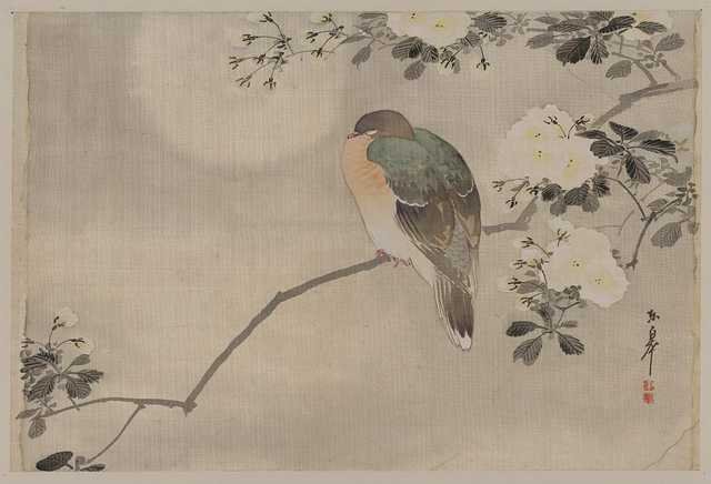 vintage japan japanese woodblock 00899v A4 Photo Print
