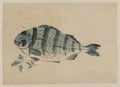 vintage japan japanese woodblock 00956v A4 Photo Print