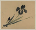 vintage japan japanese woodblock 00962v A4 Photo Print