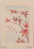 vintage japan japanese woodblock 01070v A4 Photo Print