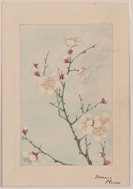 vintage japan japanese woodblock 01072v A4 Photo Print