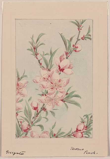 vintage japan japanese woodblock 01073v A4 Photo Print