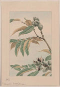 vintage japan japanese woodblock 01075v A4 Photo Print