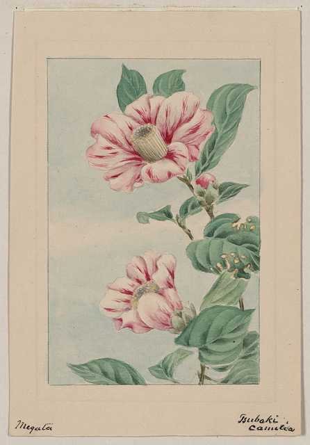 vintage japan japanese woodblock 01191v A4 Photo Print