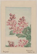 vintage japan japanese woodblock 01192v A4 Photo Print