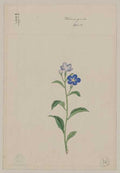 vintage japan japanese woodblock 01193v A4 Photo Print
