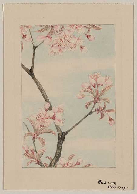 vintage japan japanese woodblock 01197v A4 Photo Print
