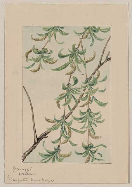 vintage japan japanese woodblock 01199v A4 Photo Print