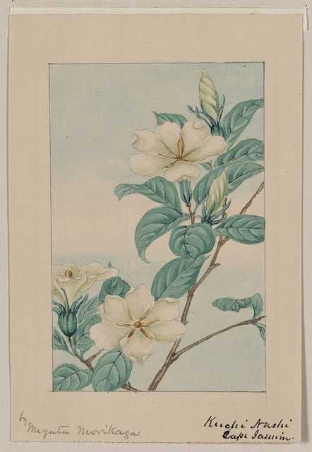 vintage japan japanese woodblock 01200v A4 Photo Print