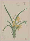 vintage japan japanese woodblock 01206v A4 Photo Print
