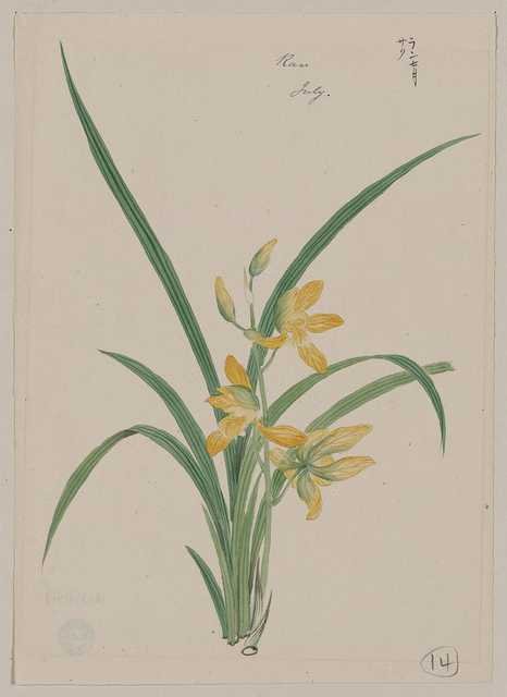 vintage japan japanese woodblock 01206v A4 Photo Print