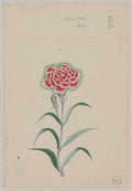 vintage japan japanese woodblock 01207v A4 Photo Print
