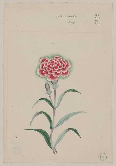 vintage japan japanese woodblock 01207v A4 Photo Print