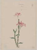 vintage japan japanese woodblock 01209v A4 Photo Print