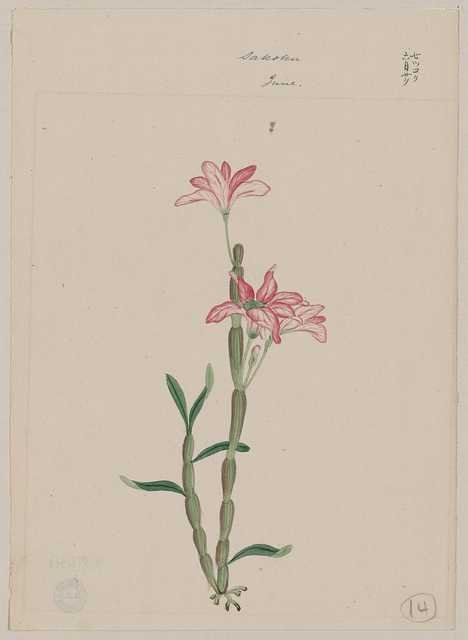 vintage japan japanese woodblock 01209v A4 Photo Print