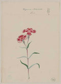 vintage japan japanese woodblock 01210v A4 Photo Print