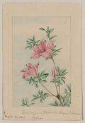 vintage japan japanese woodblock 01215v A4 Photo Print